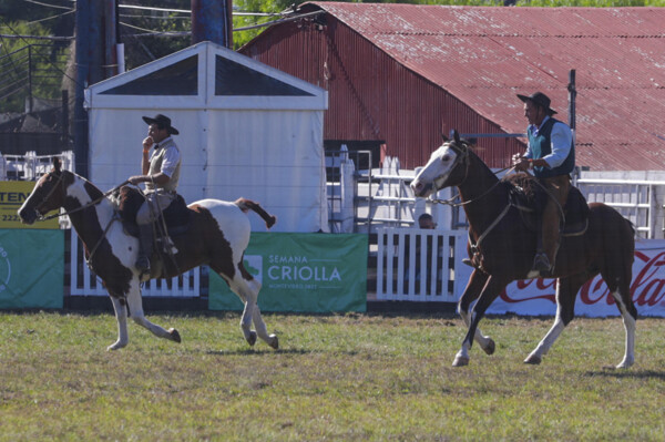 Tensions from the Jineteadas in Uruguay