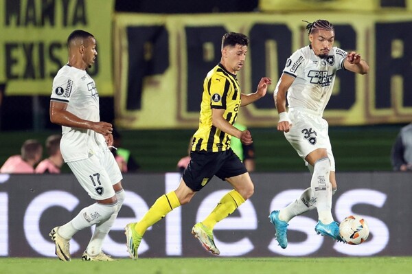 Botafogo advances to the 2024 Copa Libertadores final